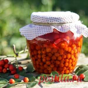 Вкусные и целебные рецепты заготовок из красной рябины