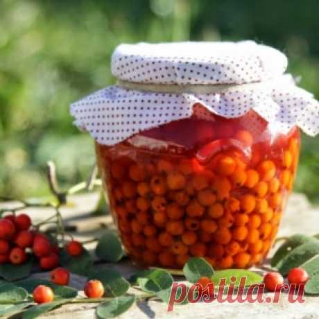 Вкусные и целебные рецепты заготовок из красной рябины