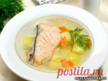 Рецепты cупов