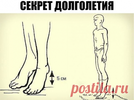 (47) Одноклассники