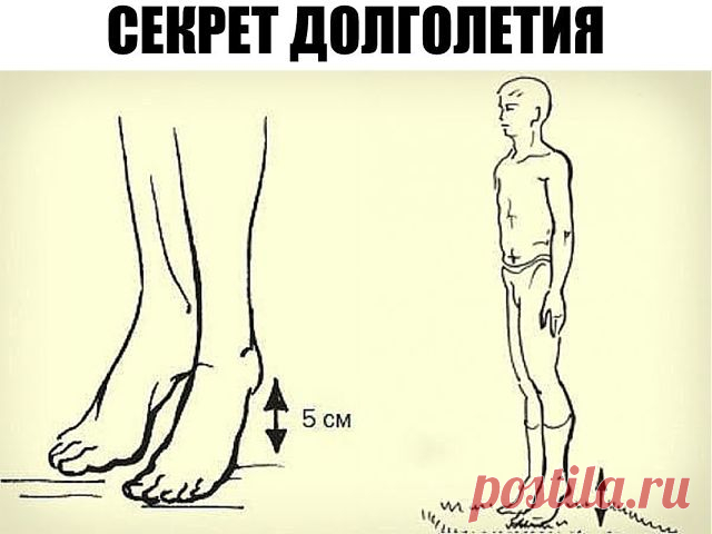 (47) Одноклассники