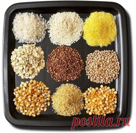 Рейтинг каш: / Богатая добыча