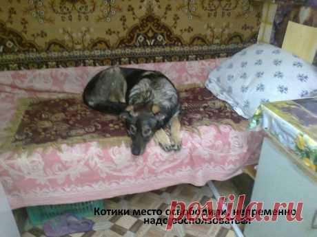 воспользуюсь моментом...