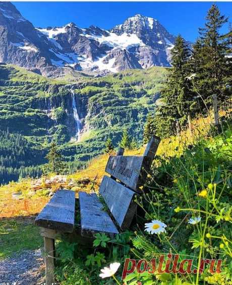 Pinterest