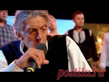 ფრთამოტეხილი მაფშალია
