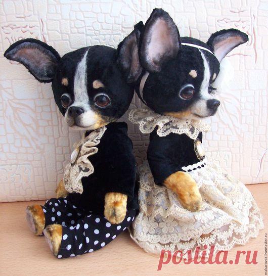 Купить Чихуахуа тедди Шарль и Шарлотта - чихуахуа, чихуа, тедди, друзья тедди, тедди в подарок