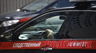 СК: тела трёх подростков обнаружили в квартире в Вологодской области. Тела трёх подростков обнаружены в квартире в Череповце Вологодской области. Читать далее