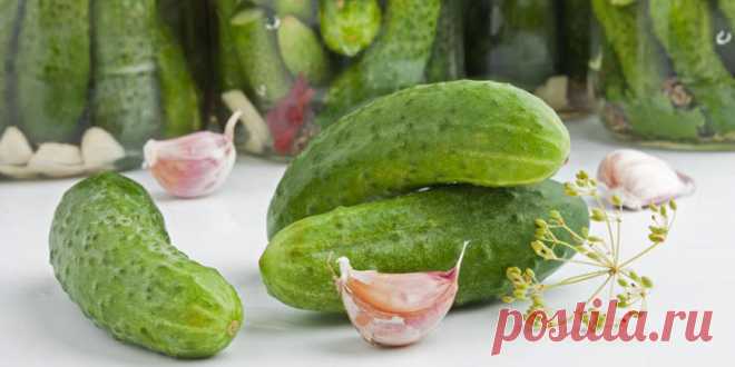 (+1) Как засолить огурцы : Овощные блюда : Кулинария : Subscribe.Ru