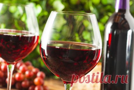 Лучшие вина Грузии: сухие | Официальный сайт кулинарных рецептов Юлии Высоцкой
