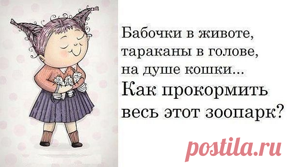 ТАКОВА ЖИЗНЬ...