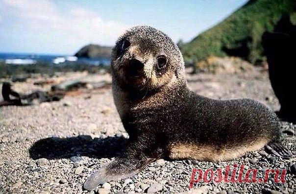 Мой Мир@Mail.Ru