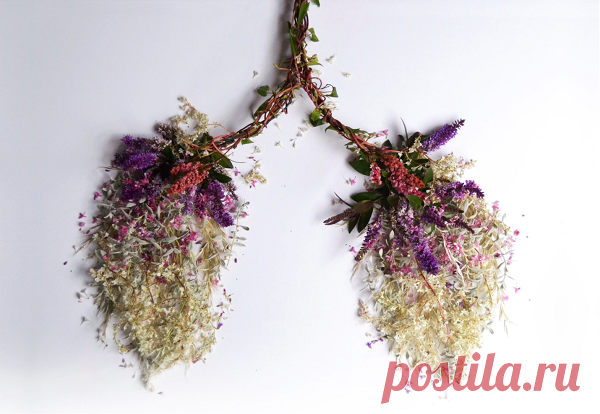 Как БЫСТРО очистить легкие после курения в домашних условиях | Традиционные и народные методы лечения