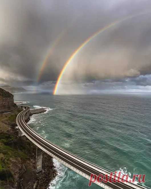 Google+