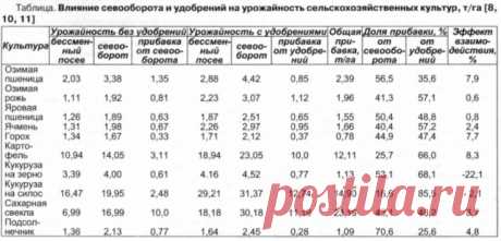 Что посадить после клубники