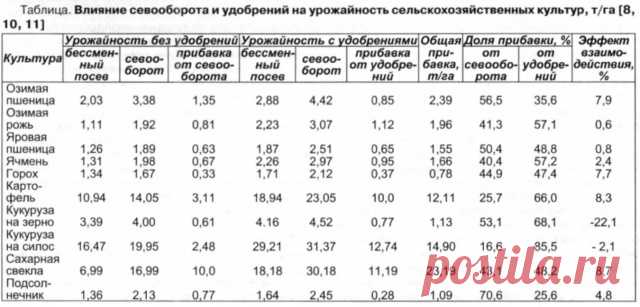 Что посадить после клубники