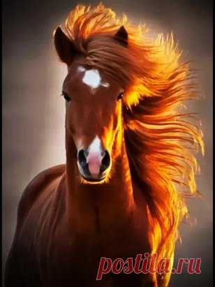 Красота и грация!