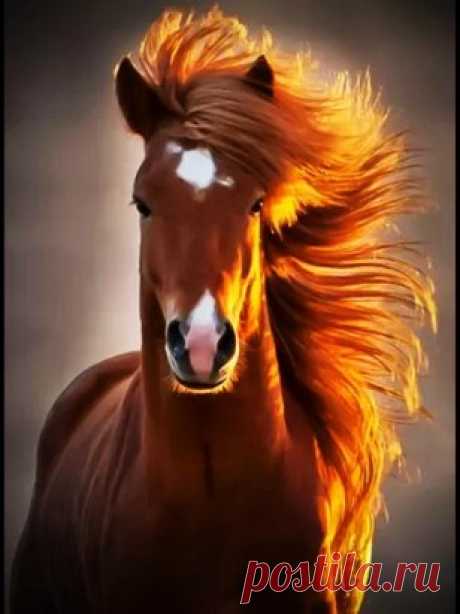 Красота и грация!