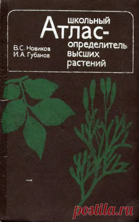 Новиков В.С., Школьный атлас-определитель высших растений : Кн. для учащихся. - 2-е изд. - М : Просвещение, 1991
Бывает так, что ребенок интересуется какое перед ним дерево или цветок. Это красочное пособие поможет найти ответ. В определителе собраны все основные виды растений, встречающиеся на просторах бывшего СССР.
Большое спасибо Марине за предоставленный скан 
Доступно к распечатке в типографии группы.