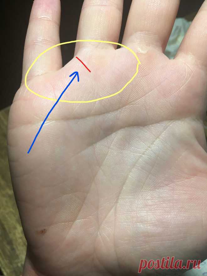 Получите ли наследство? Посмотрите на свои руки Рыбка и линия наследства | Хиромантия с Василисой Дождь | Яндекс Дзен