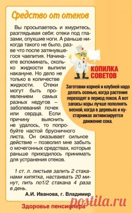 Настой брусничного листа от отеков