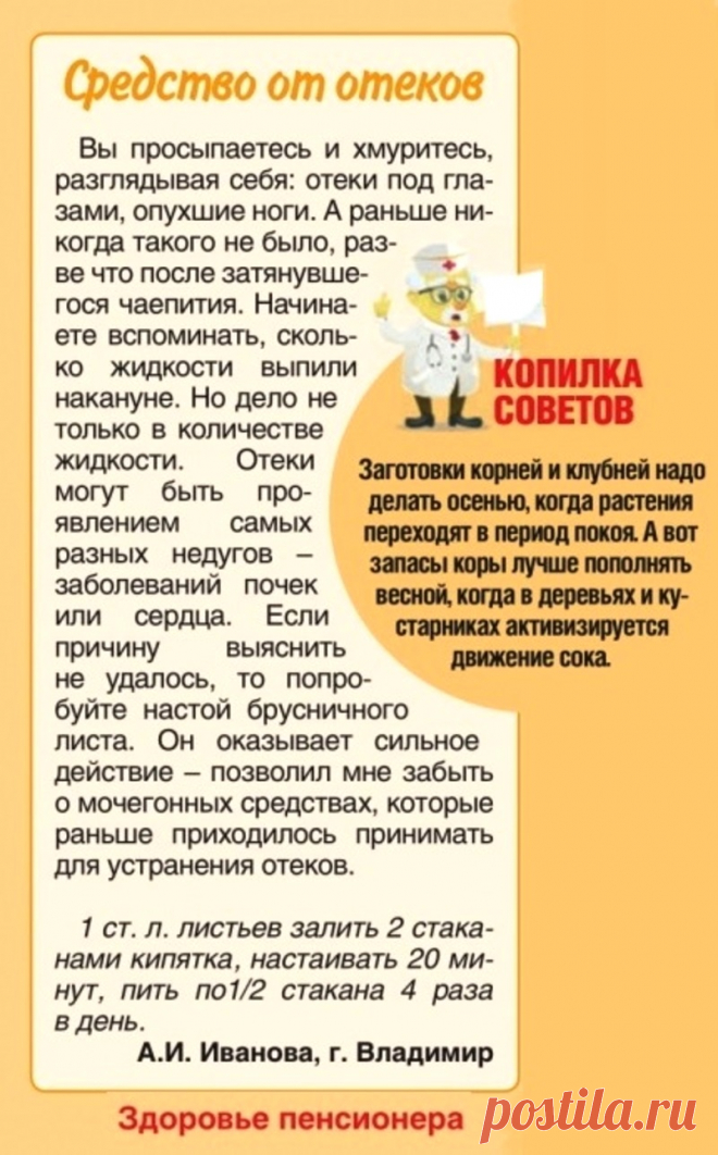 Настой брусничного листа от отеков