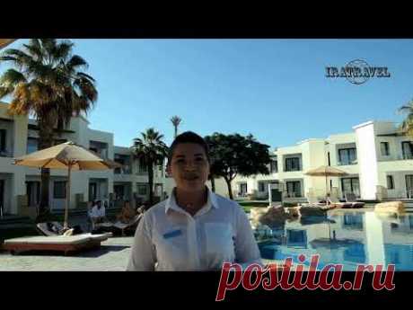 Amphoras Beach Hotel Информация от представителя отеля. Отдых в Шарм Эль Шейхе .Египет 2025