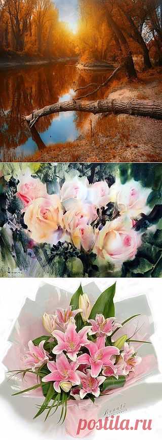 B e a u t &#233; | VK