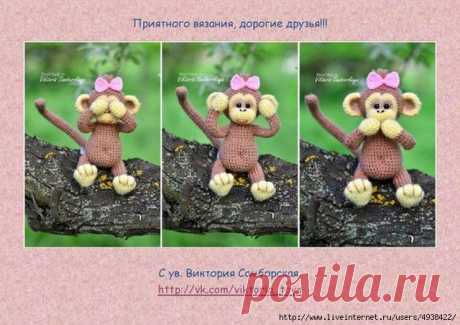 Маленькая обезьянка.