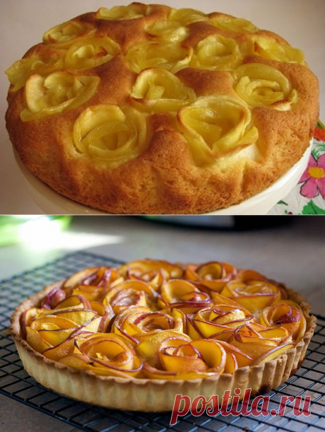 Новейшая шарлотка