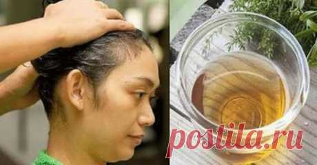 Сильно выпадают волосы? — Лепрекон