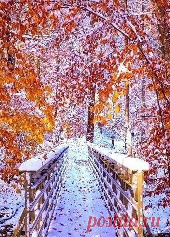 ღМорозная сказка ноября