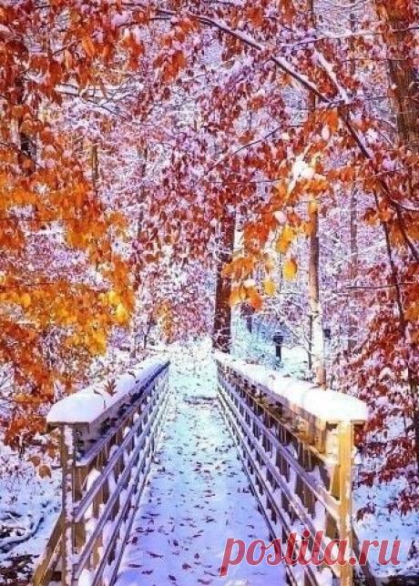 ღМорозная сказка ноября