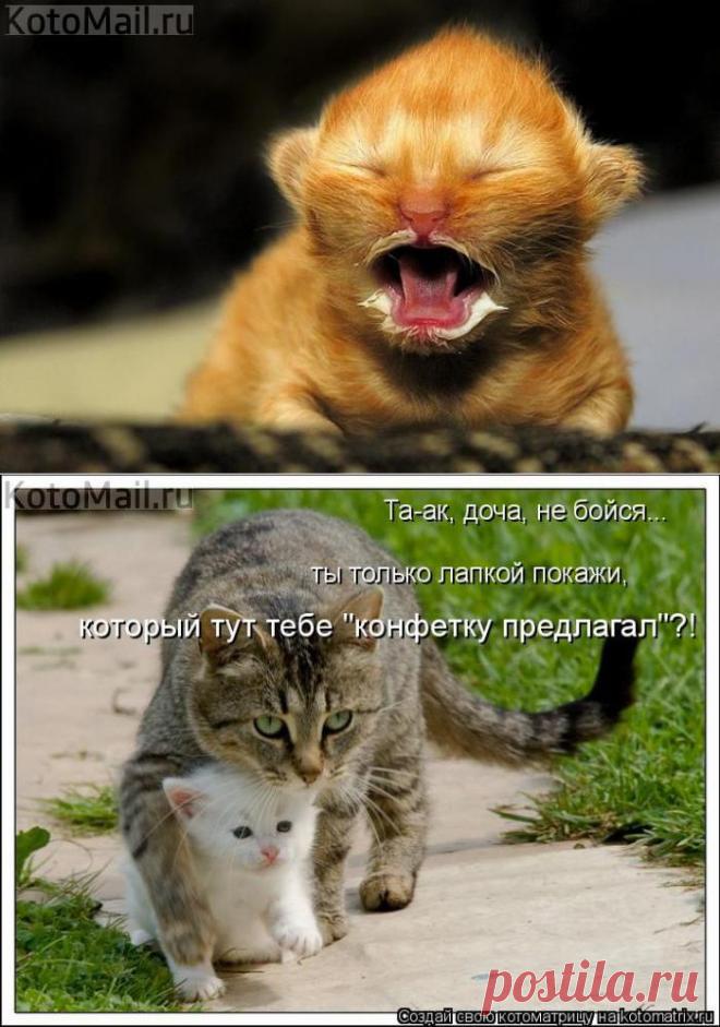 Маааамаааа! | KotoMail.ru
