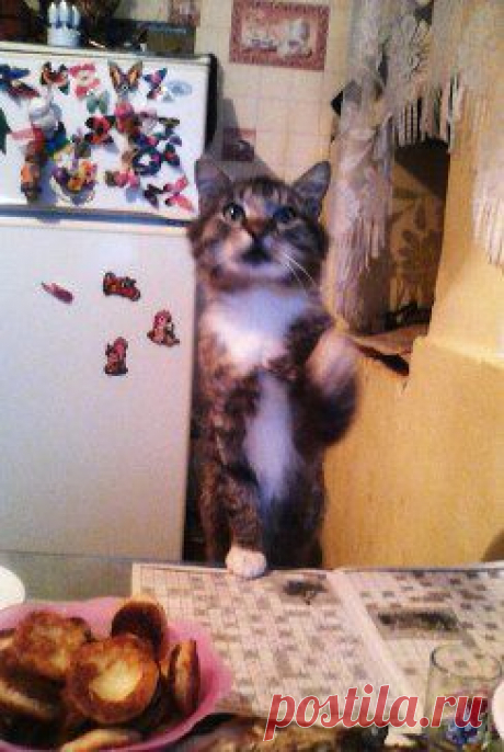 Лидия Ганженко считает классным альбом Братья наши меньшие в группе Моя Беларусь