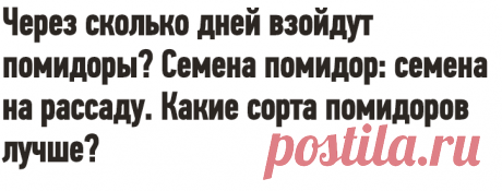 Через сколько дней взойдут помидоры? Семена помидор: семена на рассаду. Какие сорта помидоров лучше?