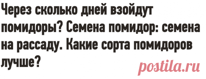 Через сколько дней взойдут помидоры? Семена помидор: семена на рассаду. Какие сорта помидоров лучше?