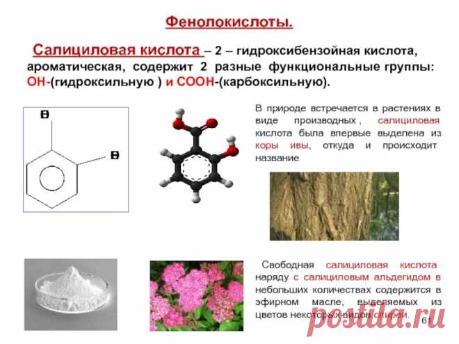 Прививка растений салициловой кислотой