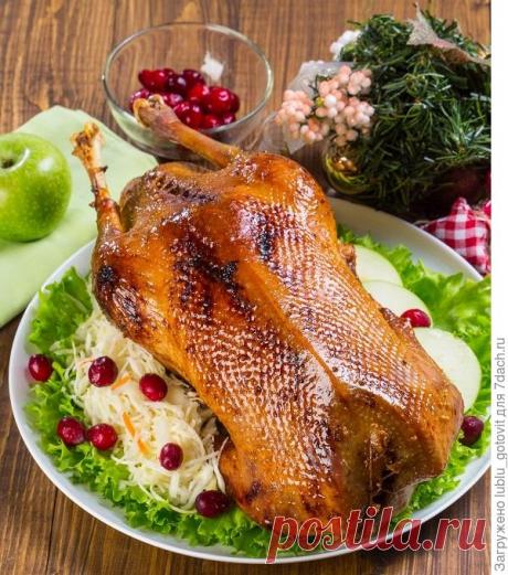 Пошаговые рецепты приготовления гуся и утки на Рождество. Фото