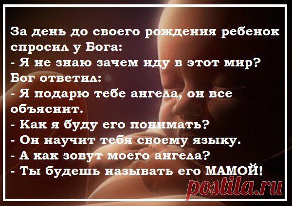 Siar: Не стоит прогибаться под изменчивый мир!!! Пусть лучше он прогнется под нас!!!