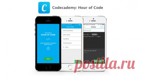 Codecademy - приложение, которое поможет вам начать программировать - Лайфхакер