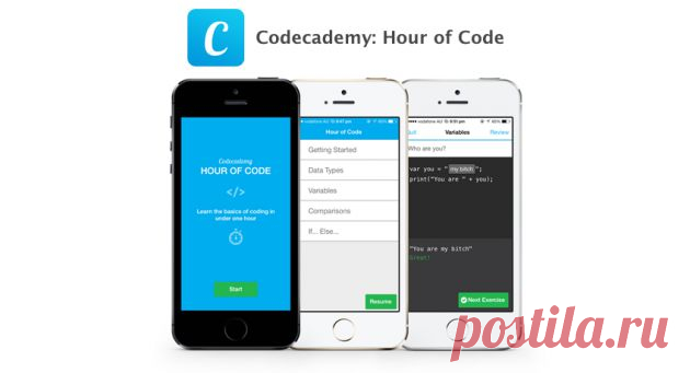 Codecademy - приложение, которое поможет вам начать программировать - Лайфхакер