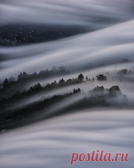 (3) Tumblr