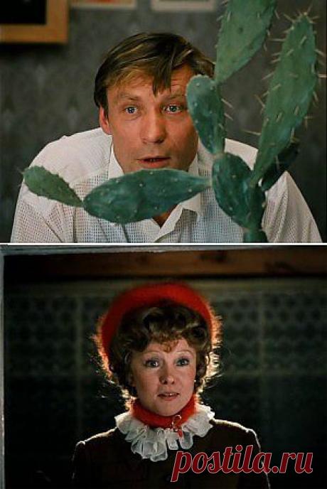 КАКТУСОВЫЕ, СЕМЕЙСТВО СУККУЛЕНТНЫХ - В фильме тема вегетарианства намечена, но не раскрыта полностью. У вегетов мотивация, конечно, достаточно сильная. Бесспорно, что употребление растительных продуктов, дает много положительных результатов, оздоравливая организм. Когда за вегетарианством стоят идеи здоровья, в этом нет ничего плохого и даже наоборот. Разгрузочные недели по определенным методикам дают возможность организму отдохнуть на растительной пище, но, с обязательным условием постепенного