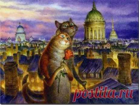8 июня - День Петербургских кошек и котов