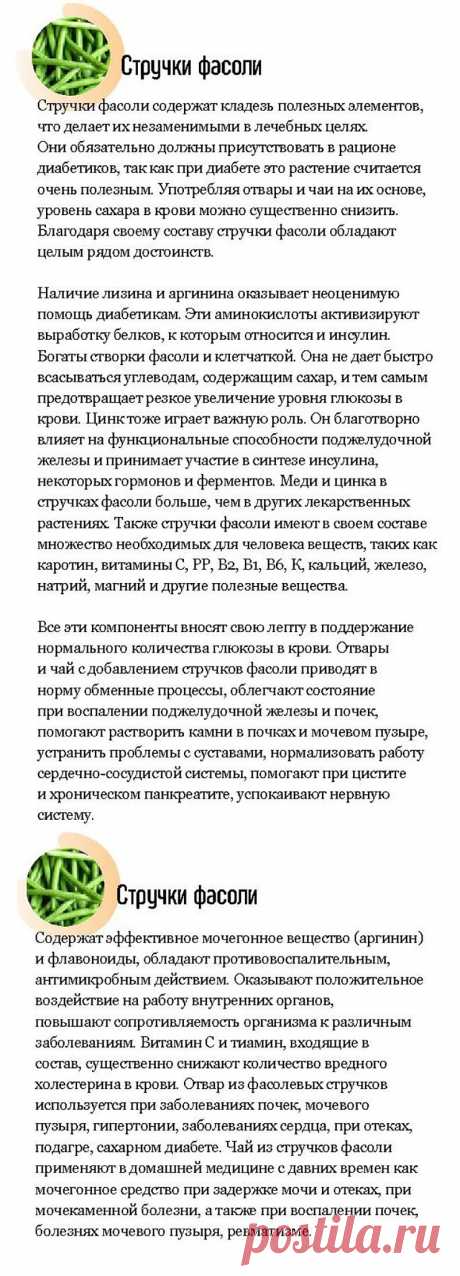 Стручки фасоли - лечебные свойства