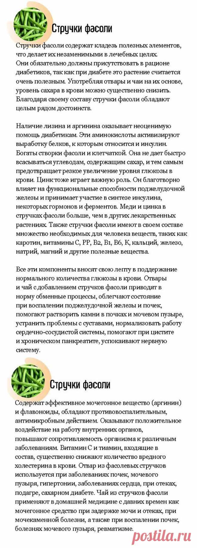 Стручки фасоли - лечебные свойства
