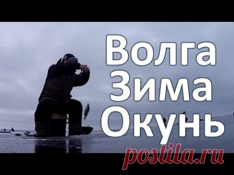 Окунь на балансир на Волге