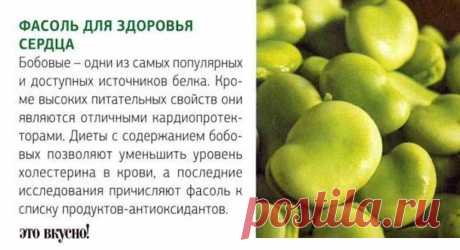 Фасоль - полезные свойства