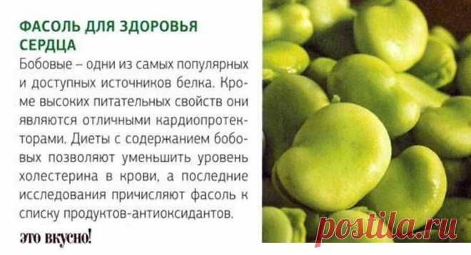 Фасоль - полезные свойства