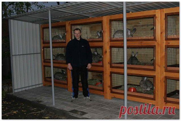 Клетки для кроликов фото